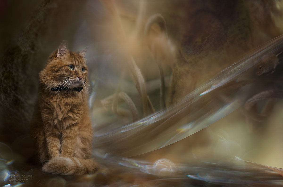 Mission Impossible ...