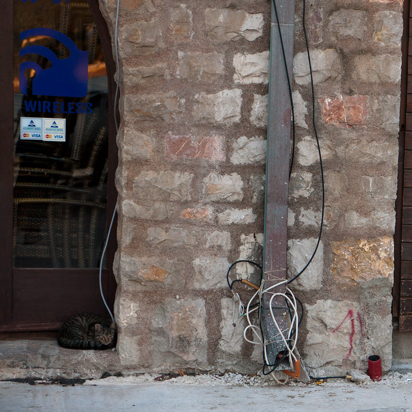 Über die Katze, Kabel, Draht ...