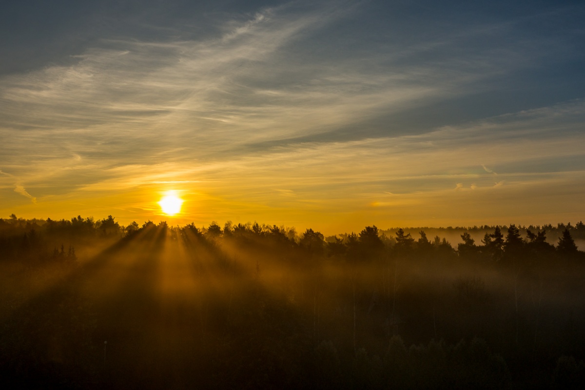 Sonnenaufgang im Nebel