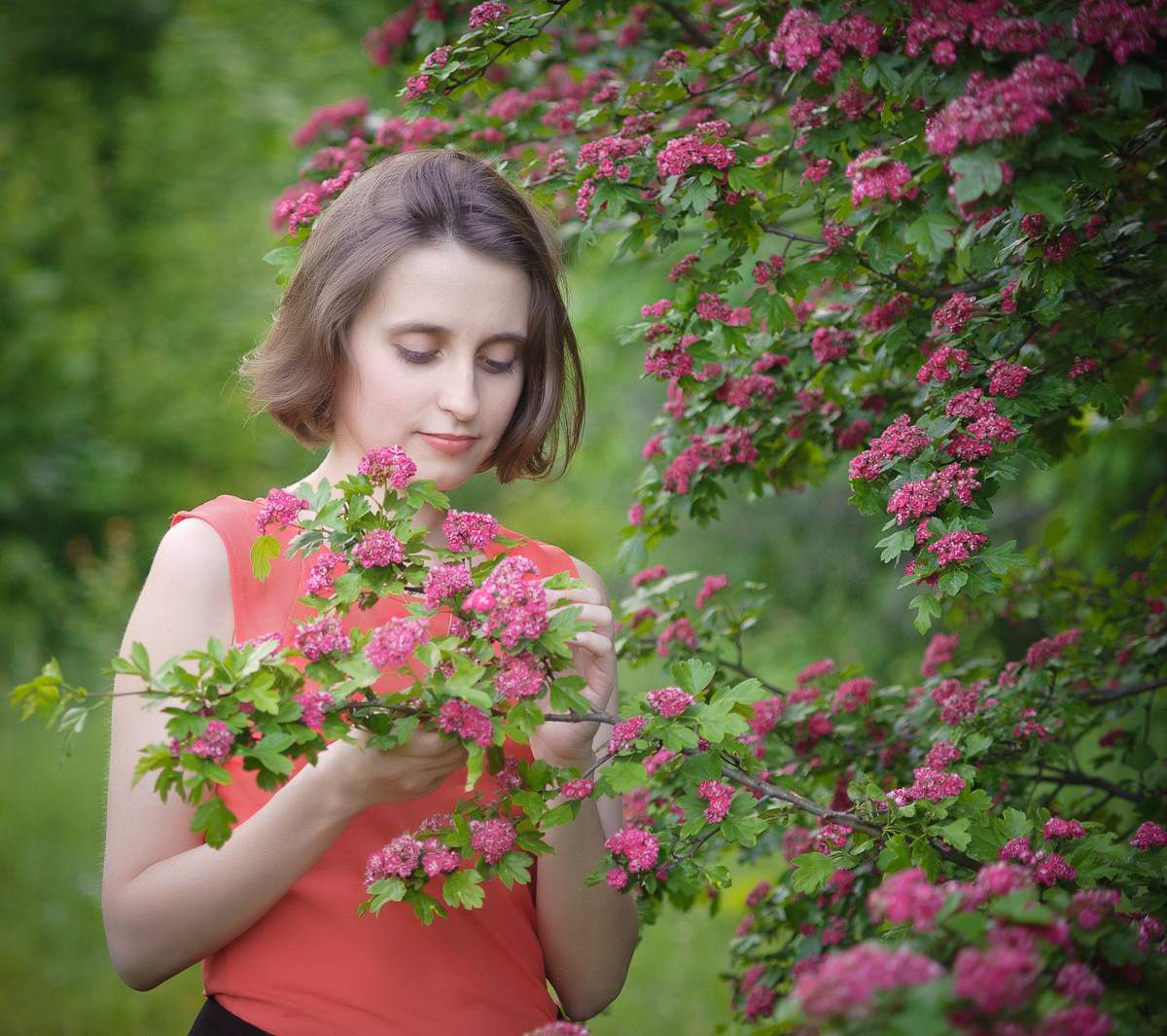 Auf der Suche nach einem Marienkäfer