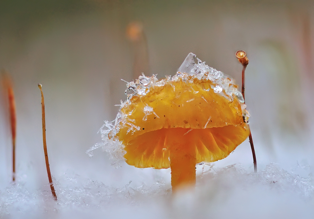 Vorbereitungen für den Winter