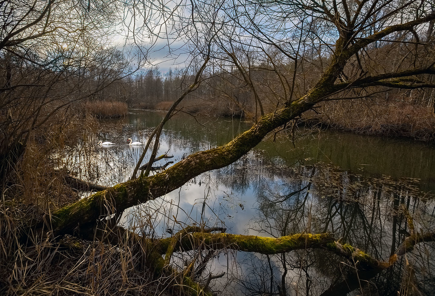 Zaplutali Herbst ...