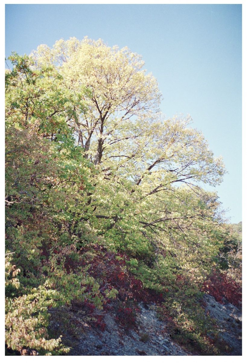 In Luminiferous durchbrochenen