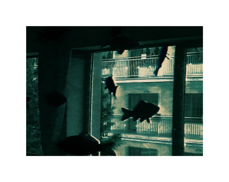 Ihren Augen nicht trauen Sie nicht.