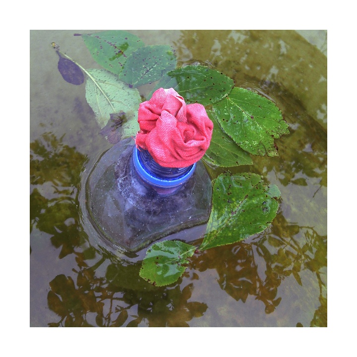 "Ihre Augen glauben Sie nicht"