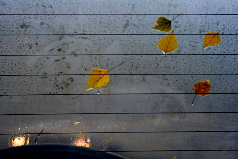 Ihren Augen nicht trauen Sie nicht