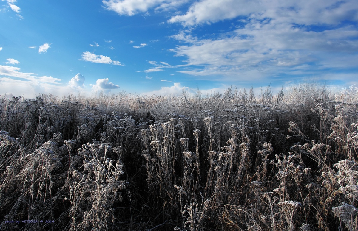 Border Light (November 2014)