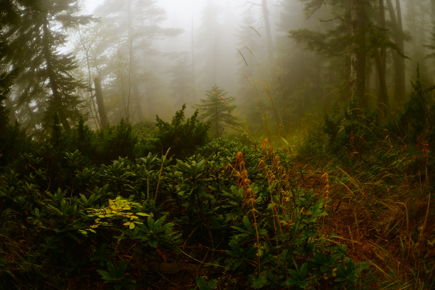 Stehen Sie früh ...