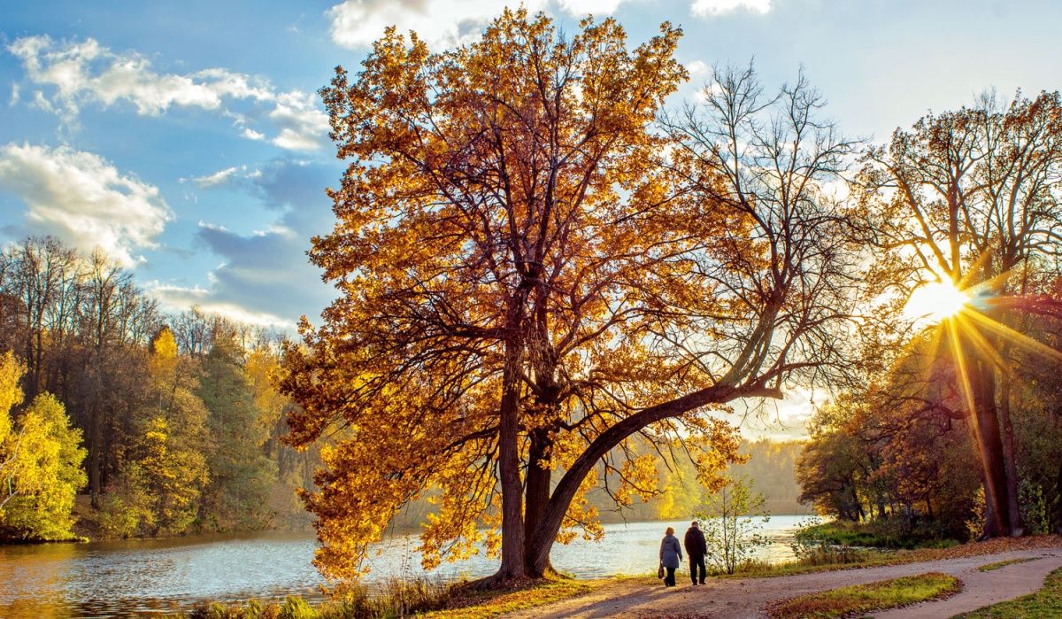 In Erinnerung an die Herbst