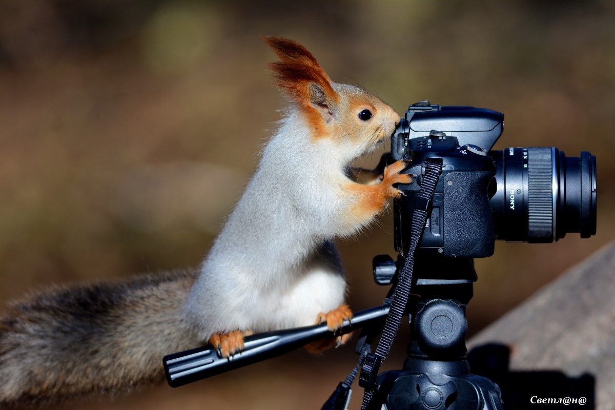 Lächeln und schießen.