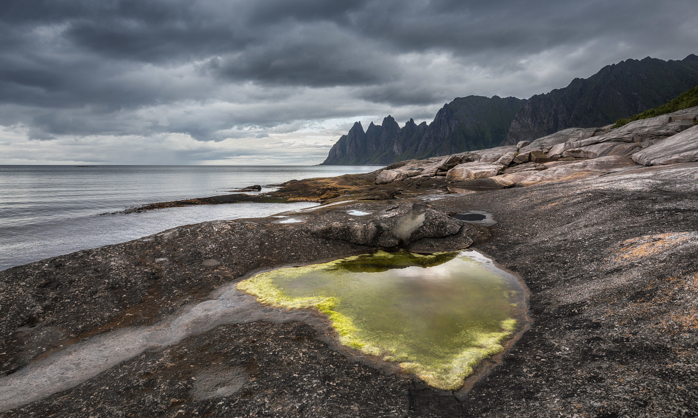 Über Zähne und Magensaft