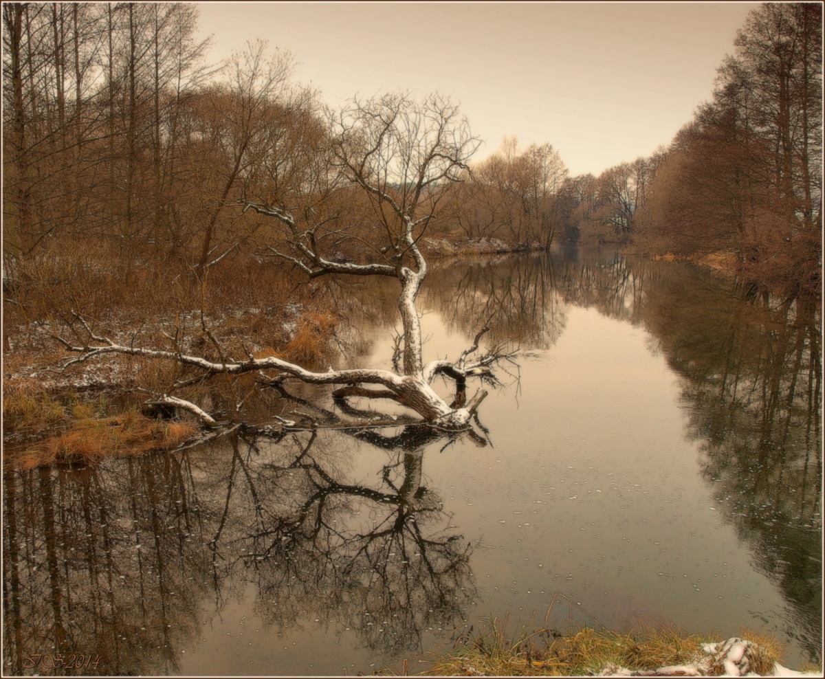 in Erwartung des Winters