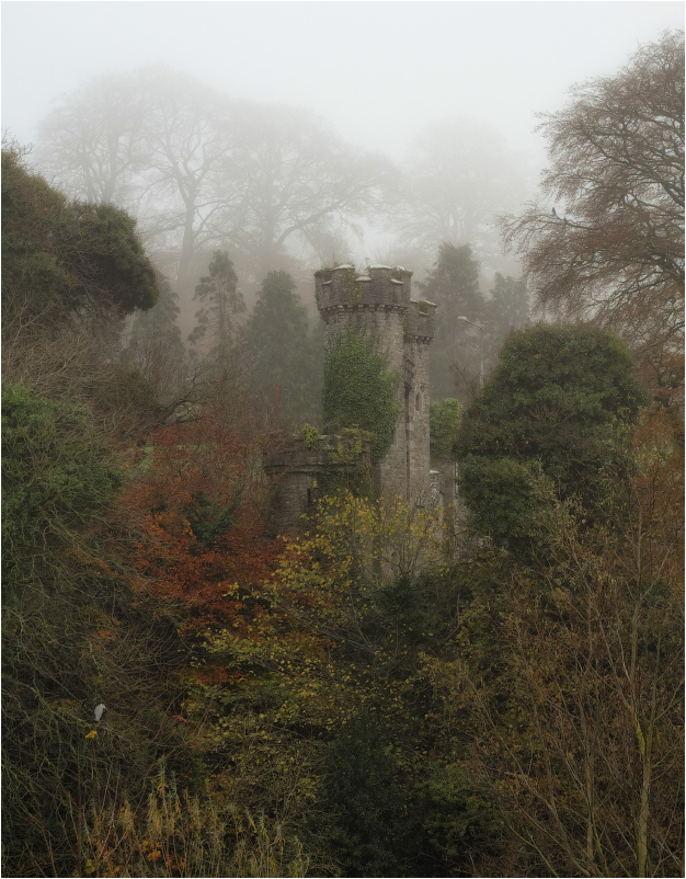 ... Über den Türmen und Reiher ...