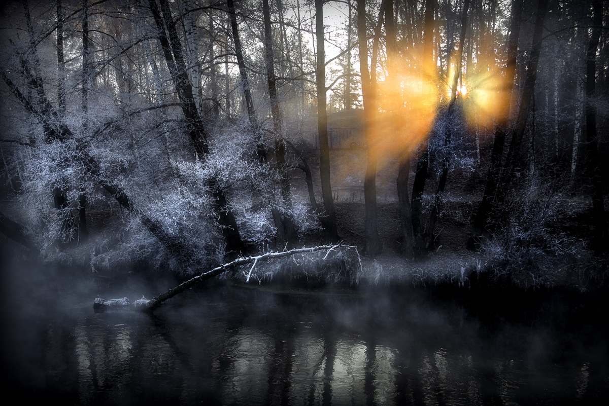 Morgenröte Motte ...