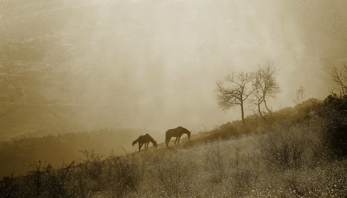 Wie vor hundert Jahren ...
