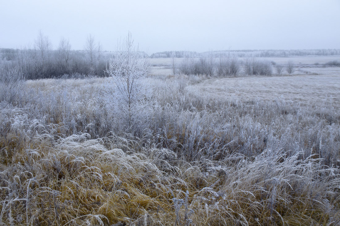 Sedoe Morgen im November