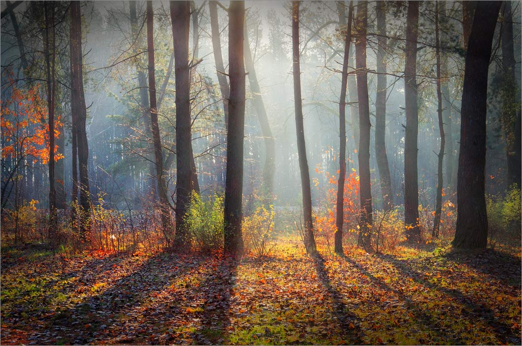 Der letzte Tango Herbst