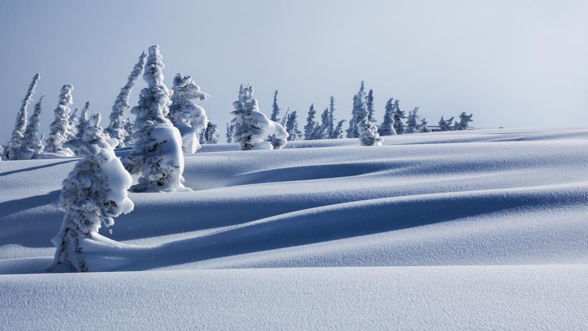 Am ersten Tag des Winters!)))