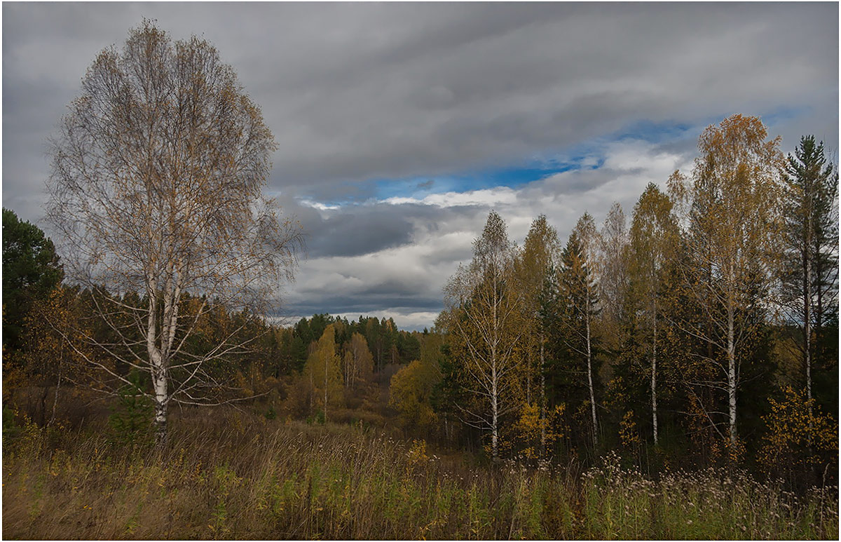 Welken der Natur ...
