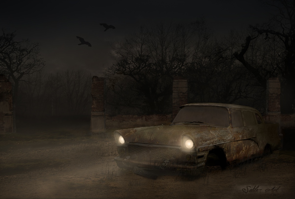 Träume von einer Möwe