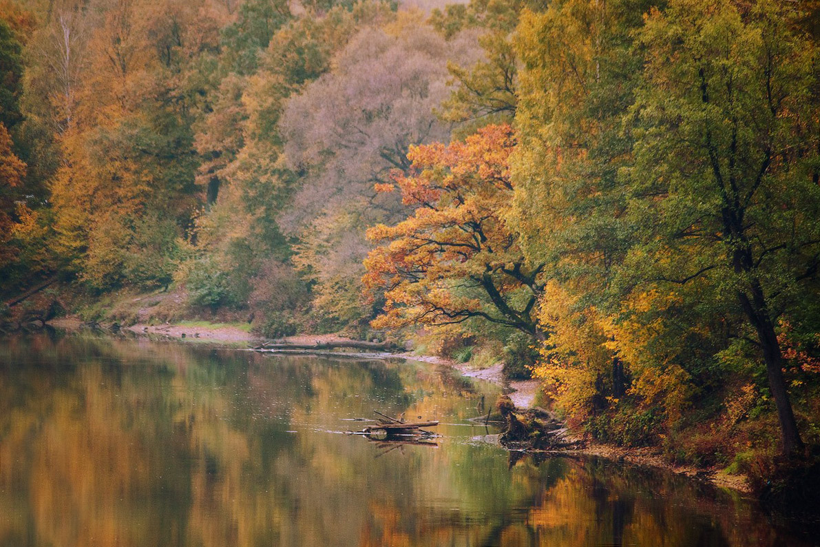 Herbst auf Svislochi