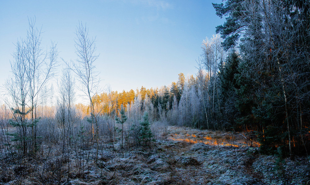 Letzter Tag des Herbstes
