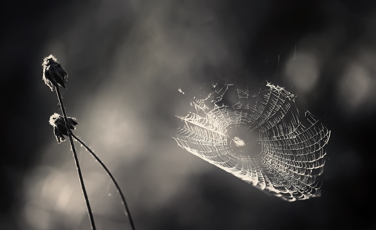 ... Herbst Abschied ..