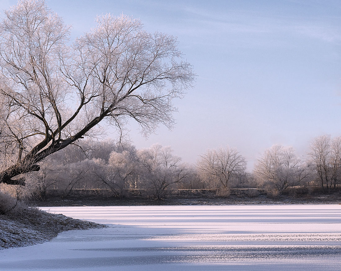 Frost auf dem Teich