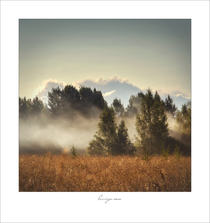 Über eines Morgens ...