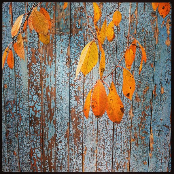 Autumn uns tupila ..