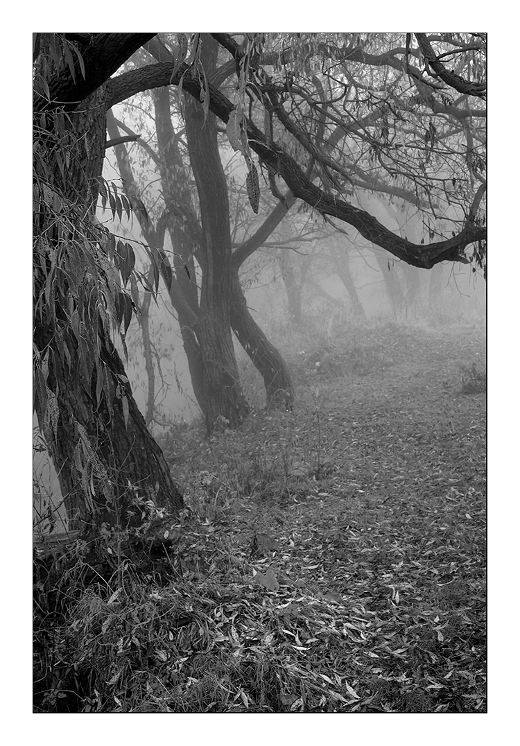 Und ich selbst heute ...