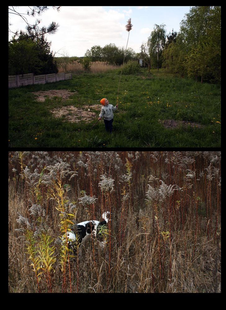 "Fotopazly. Modell zu bauen "