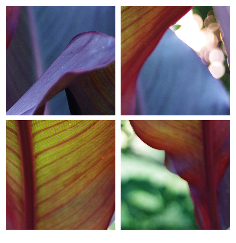 "Fotopazly. Modell zu bauen "