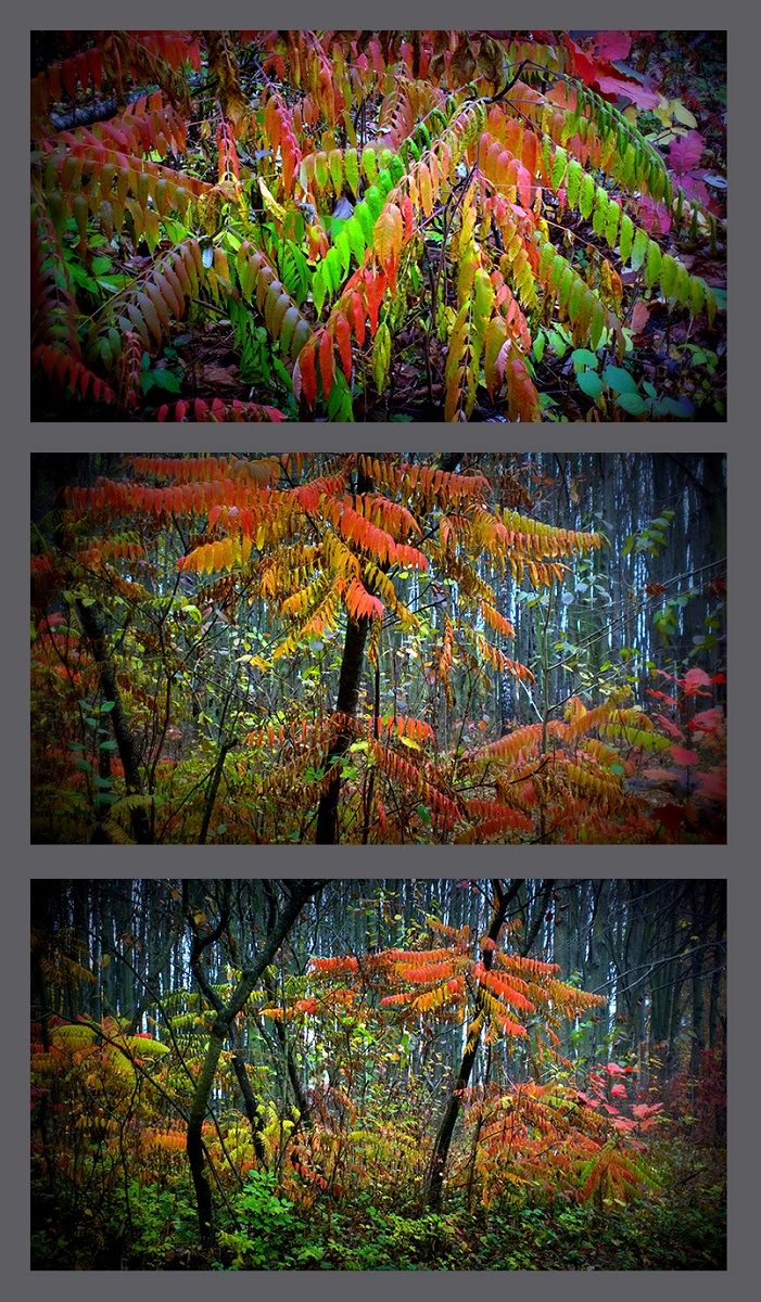 "Fotopazly. Modell zu bauen "