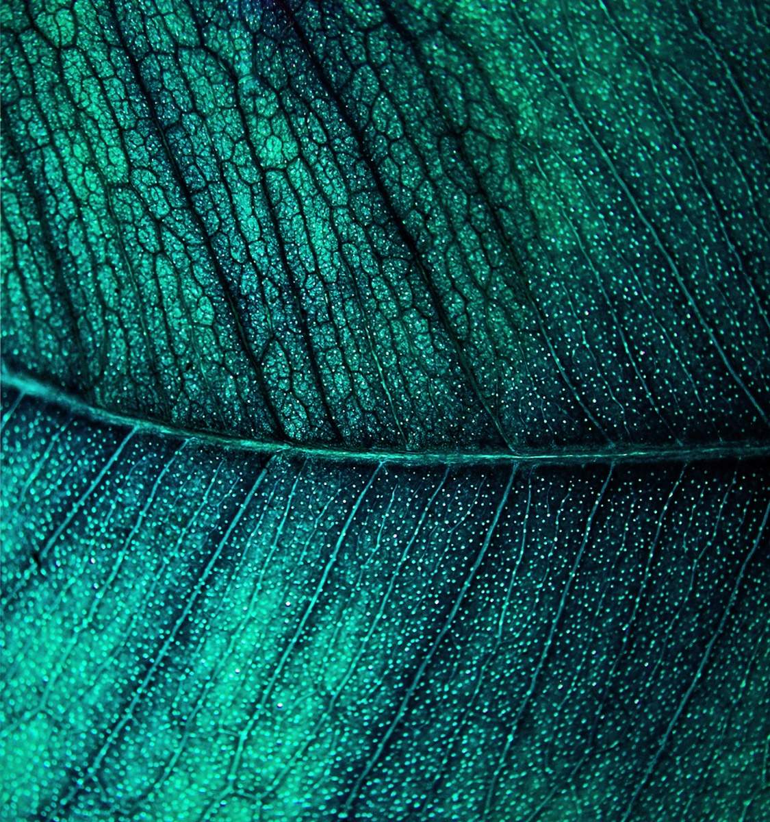 ... Ein Spaziergang auf einem Fußweg in die kalte Nacht ...