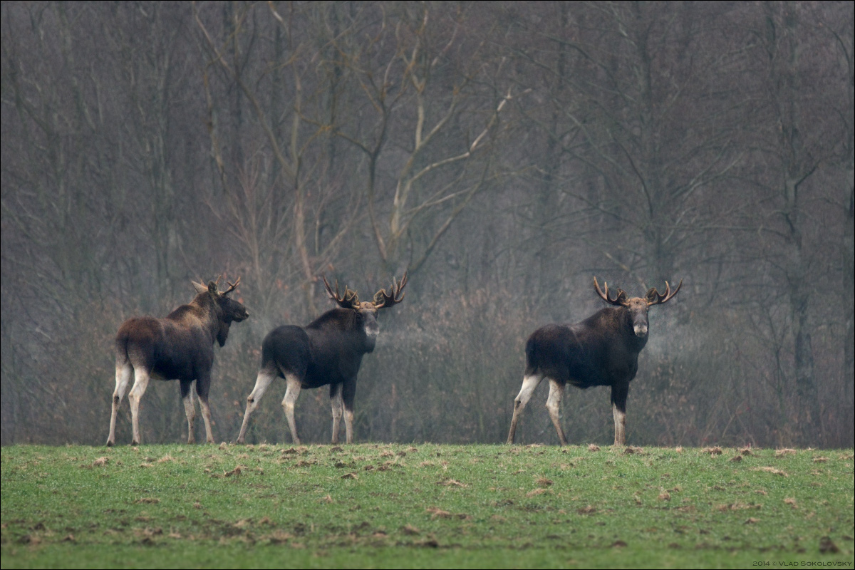 / Leggings stories /