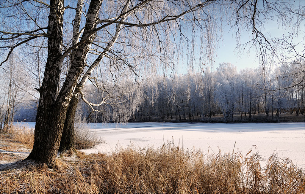 Winter-Teich
