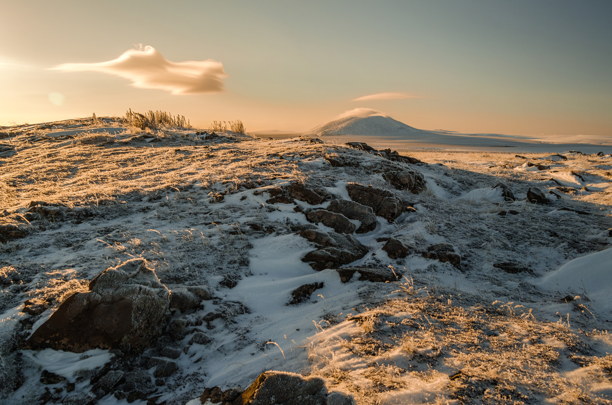 Dionysius Berg Tundra