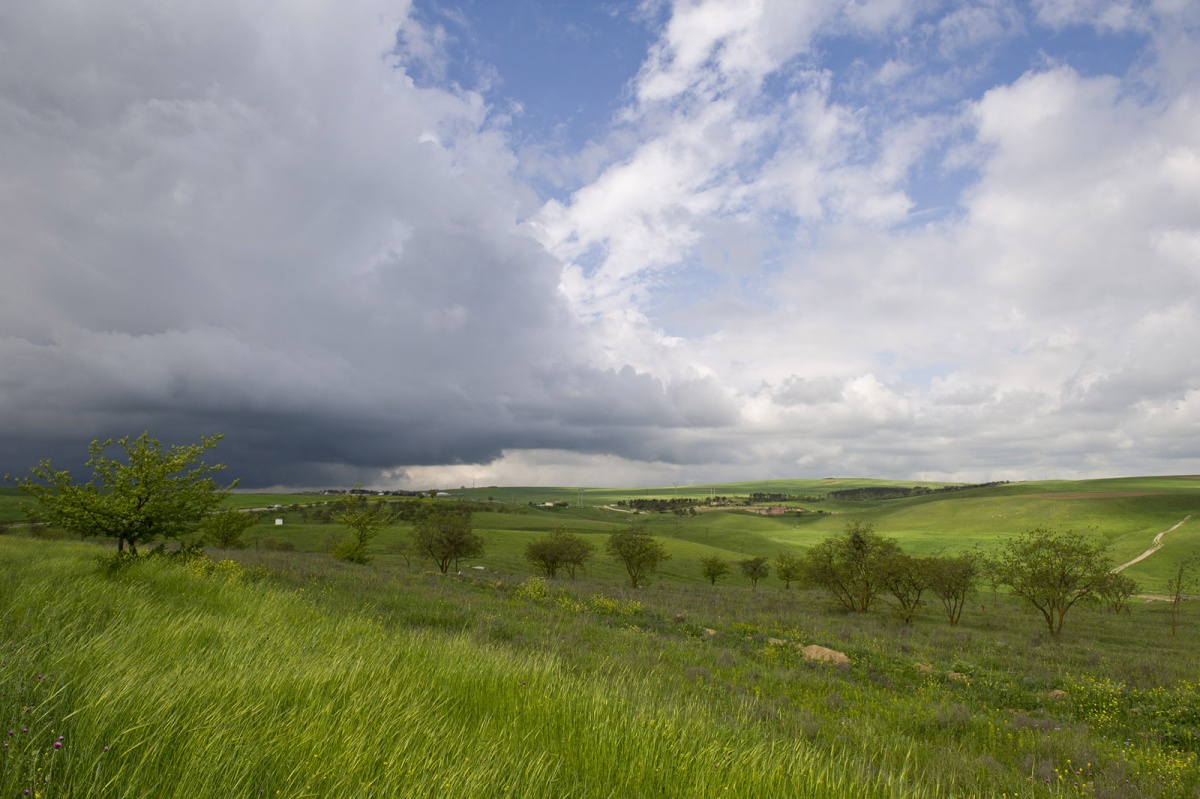 Frühling pauschal das Land
