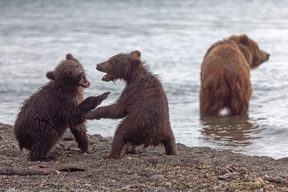 Während Mama nicht sehen
