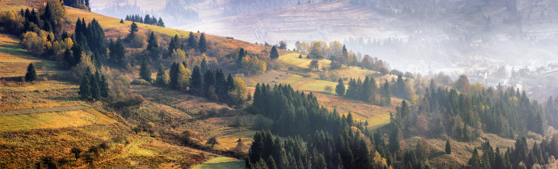 Pilipetskii an Berghängen