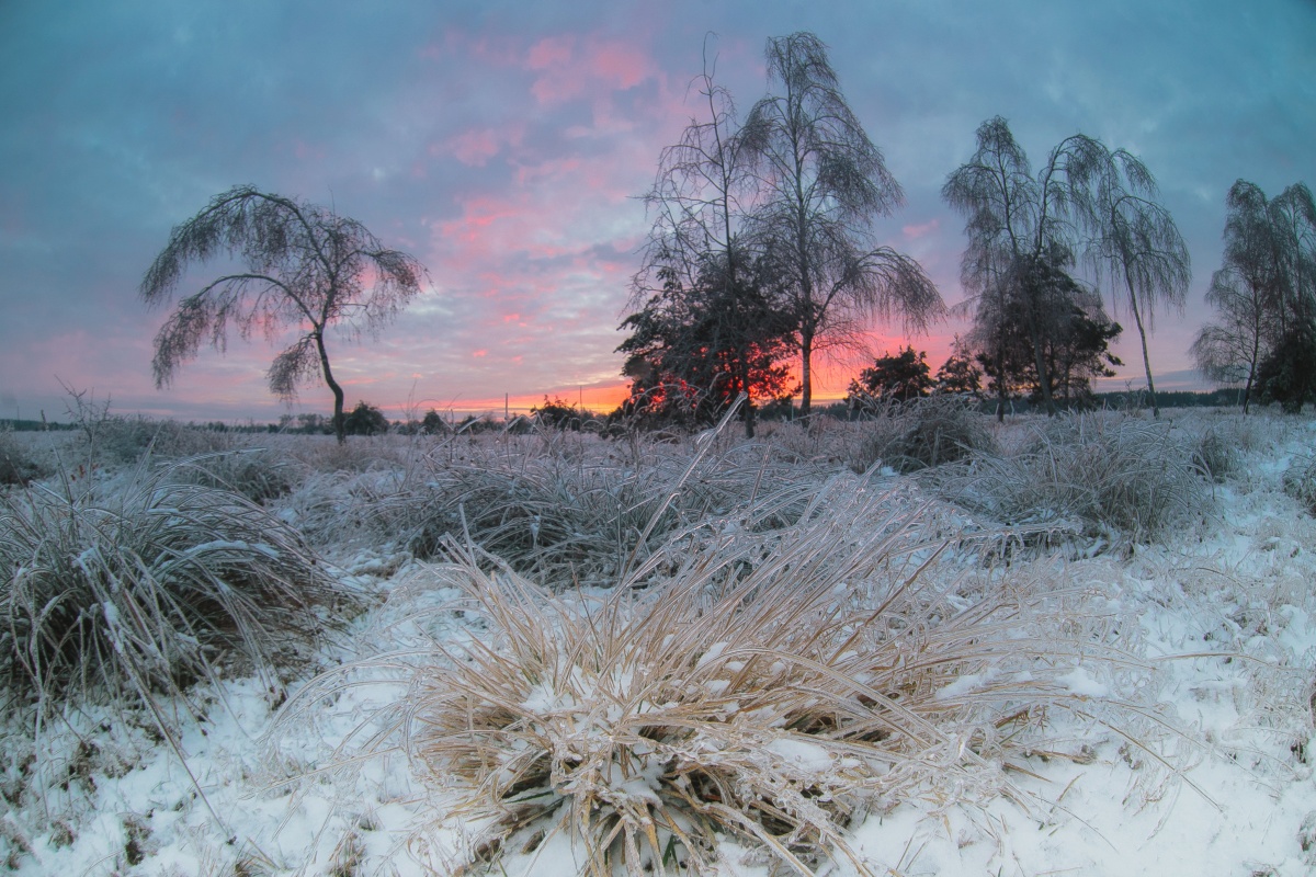 Klingeln im Dezember