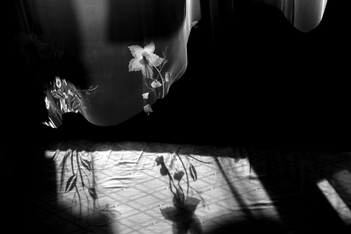 "Navel Schatten auf dem Zaun"