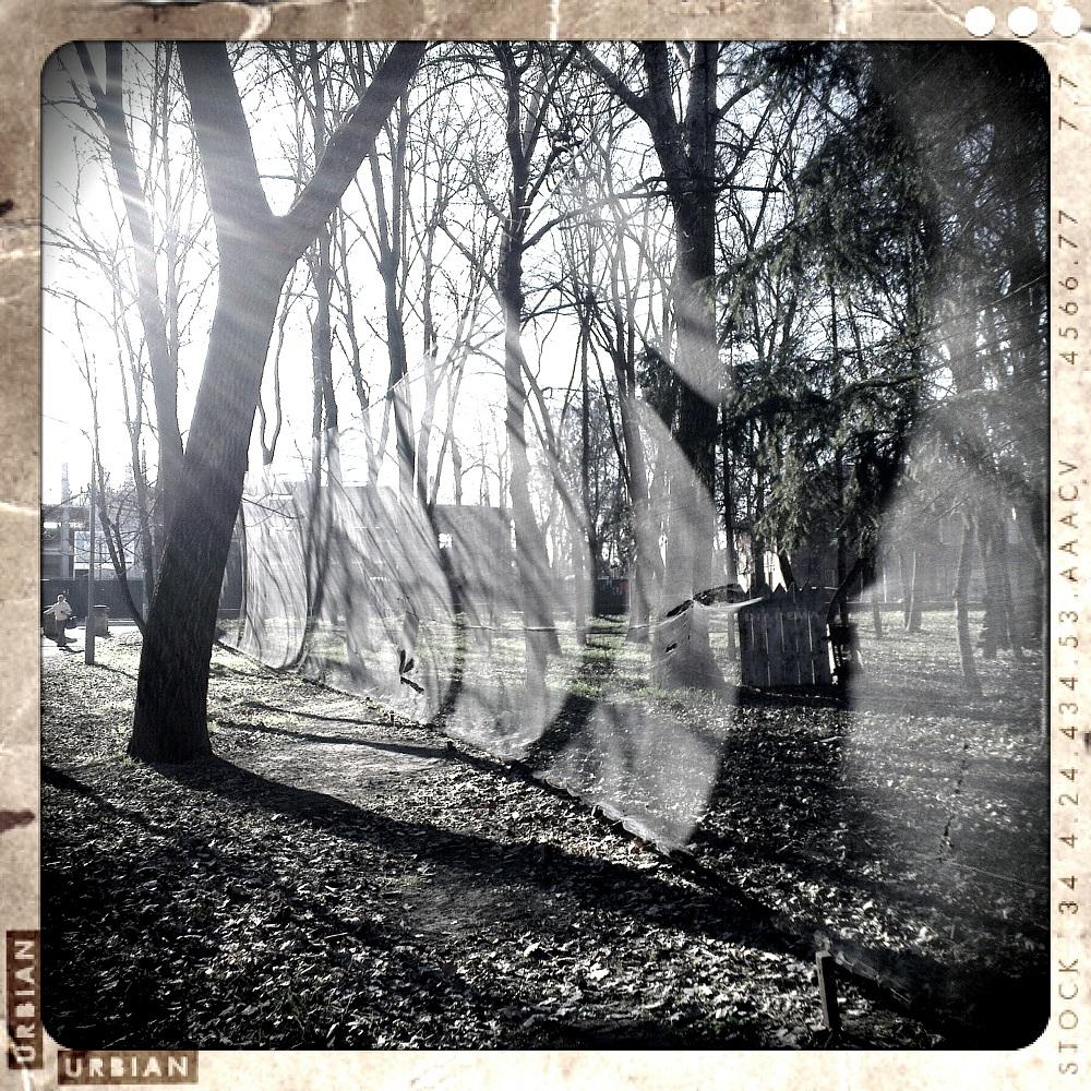 "Navel Schatten auf dem Zaun"