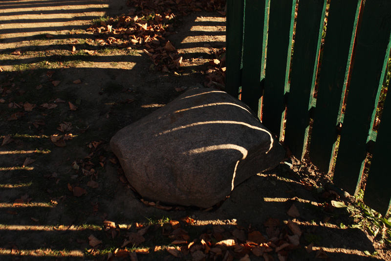 "Navel Schatten auf dem Zaun"