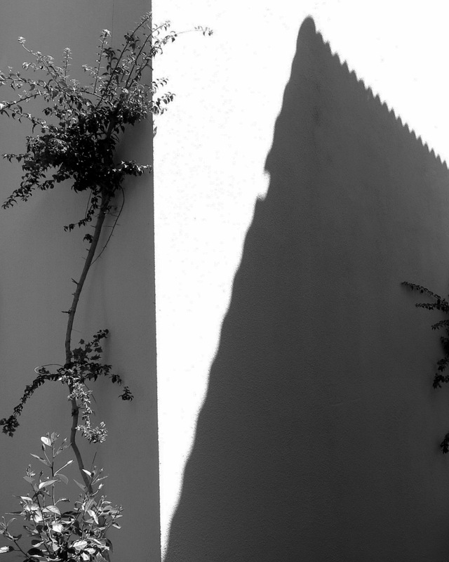 "Navel Schatten auf dem Zaun"