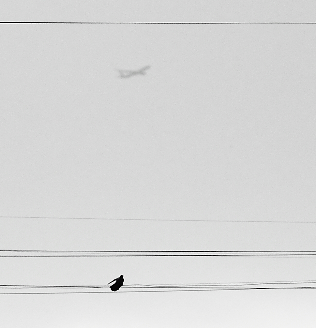 Flüge in Träume und Realität