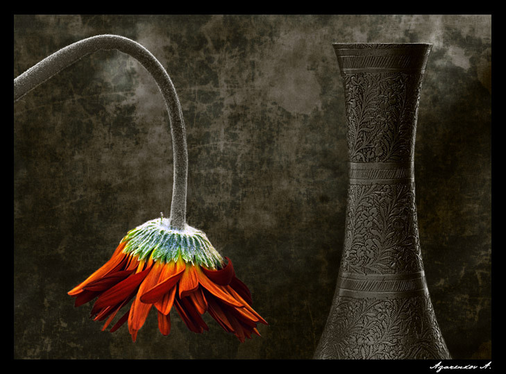 Der Streit zwischen zwei Freunden