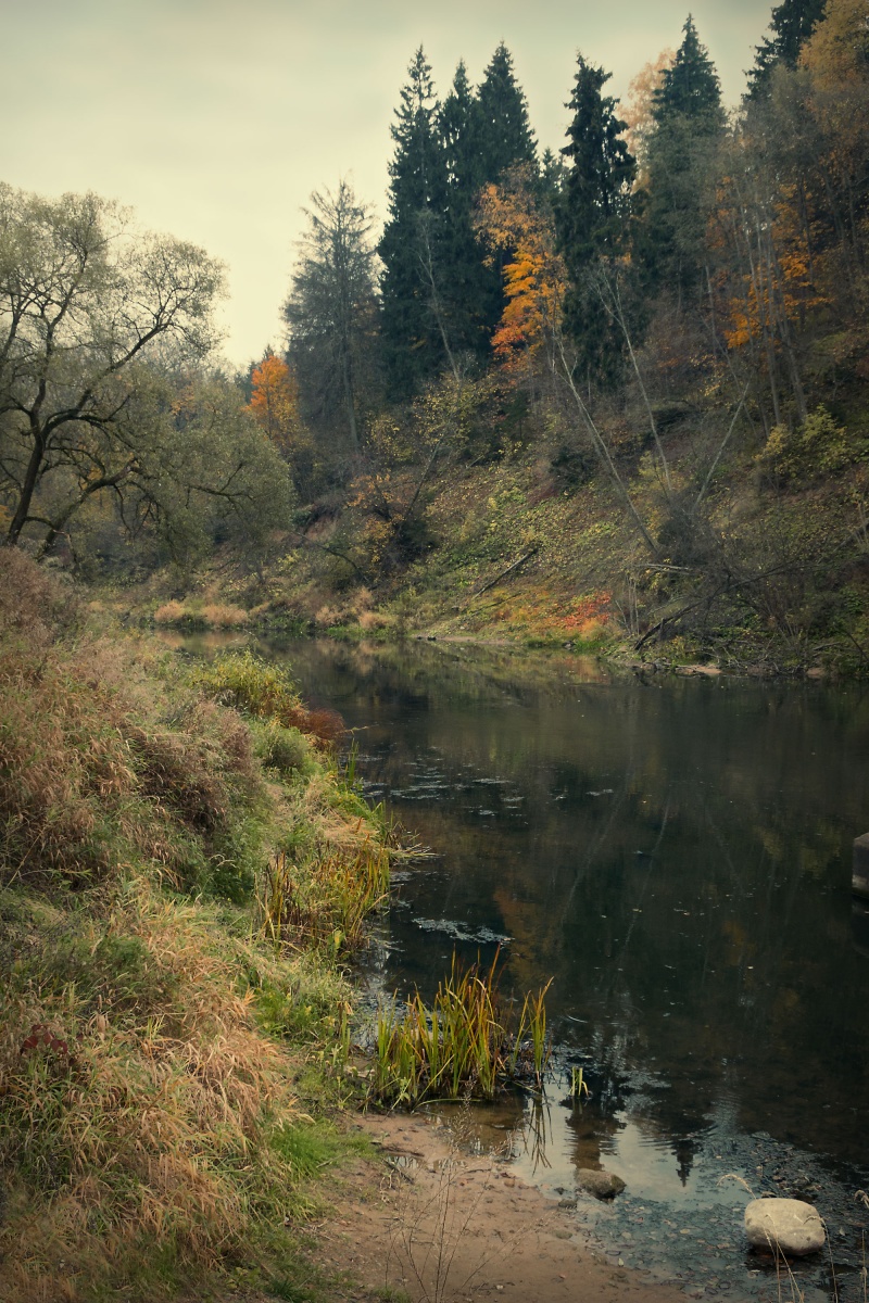 Herbst auf r.Luchosa.
