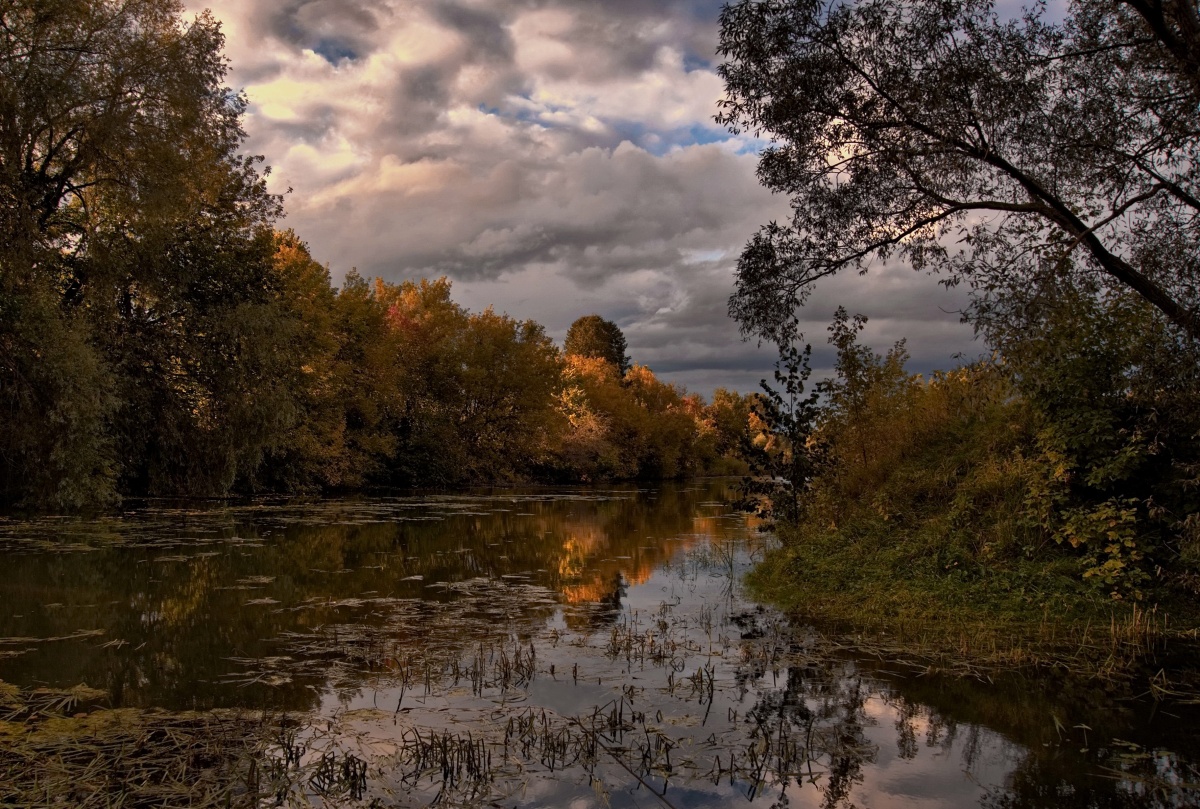 Autumn Gold überzogen